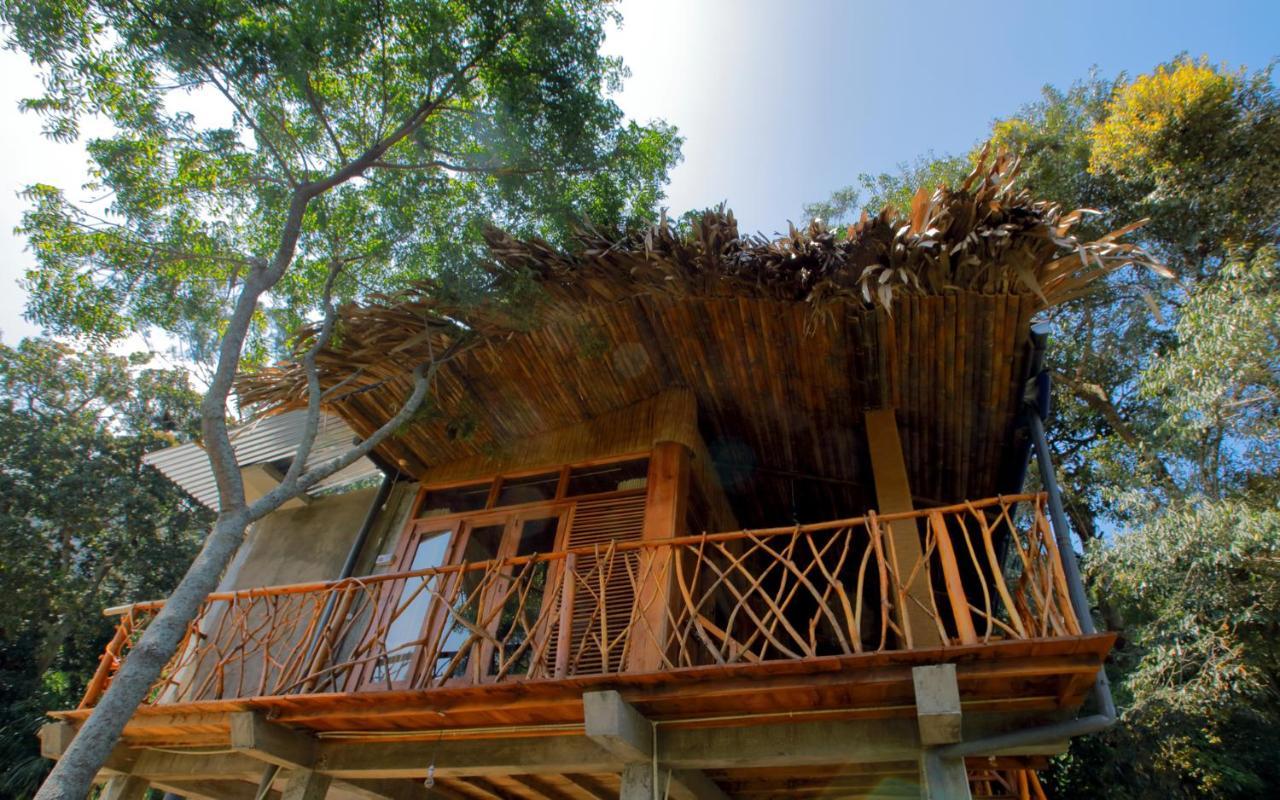 The Winsome & Tree House Bed & Breakfast Ella Luaran gambar